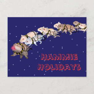 Postal Festiva Hammie Holidays