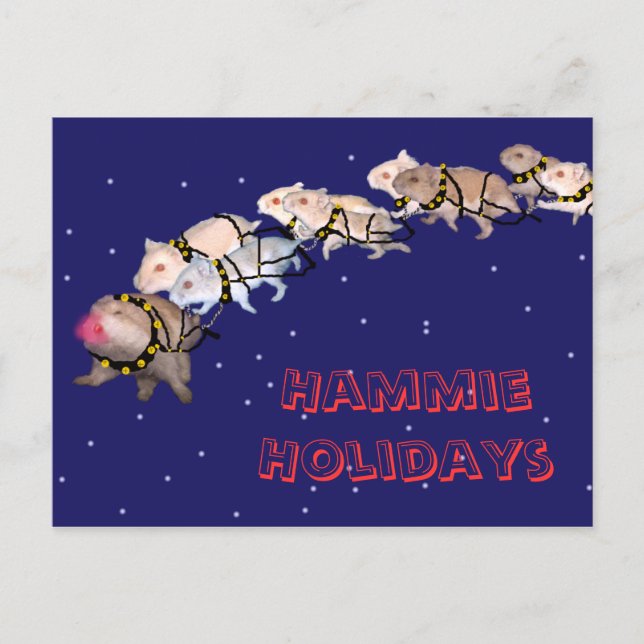 Postal Festiva Hammie Holidays (Anverso)