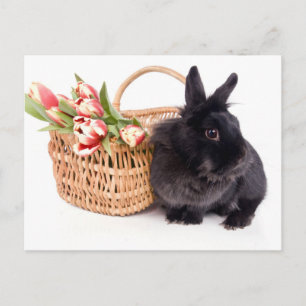 Postal Festiva Happy Easter