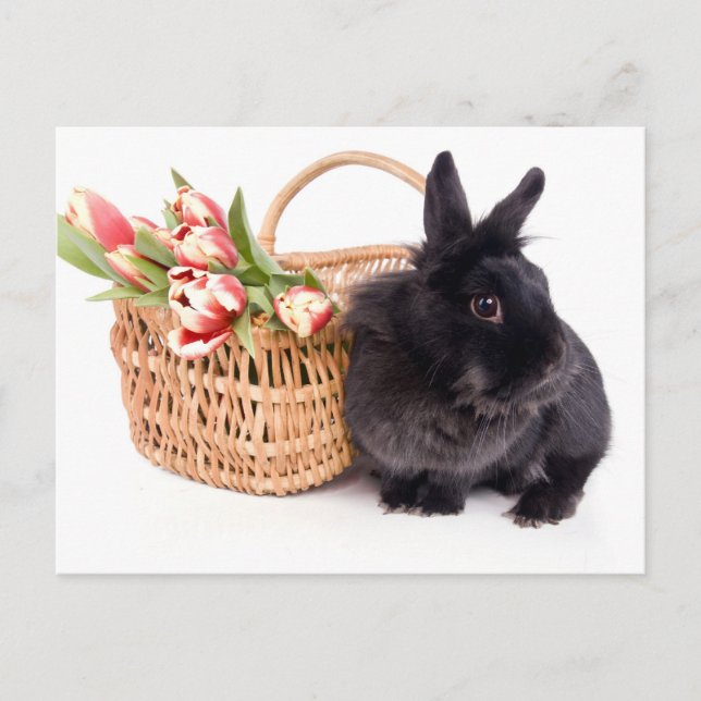 Postal Festiva Happy Easter (Anverso)