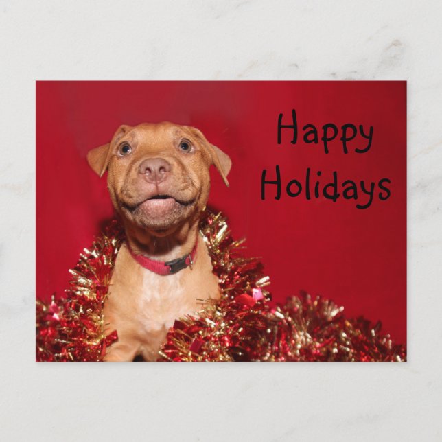 Postal Festiva Happy pitbull puppy Christmas (Anverso)