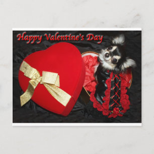 Postal Festiva Happy Valentine's Day Chihuahua