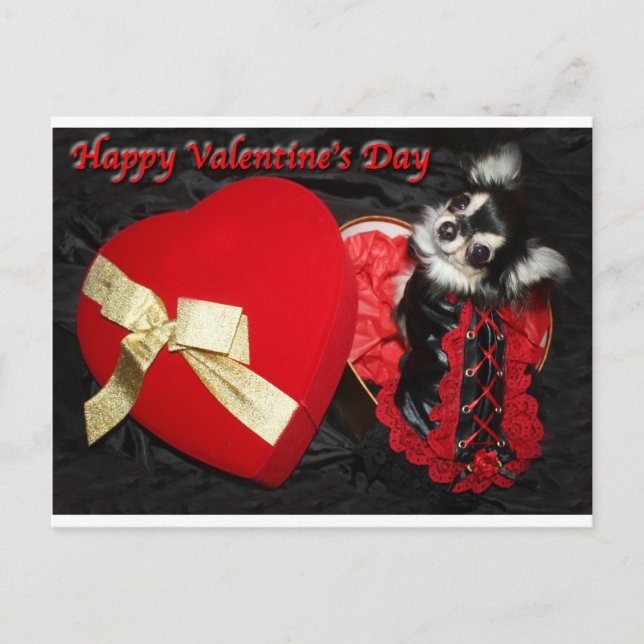 Postal Festiva Happy Valentine's Day Chihuahua (Anverso)