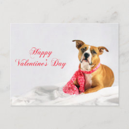 Postal Festiva Happy Valentine's Day Pitbull Puppy
