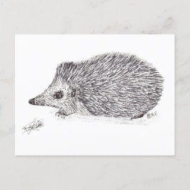 POSTAL FESTIVA HEDGEHOG