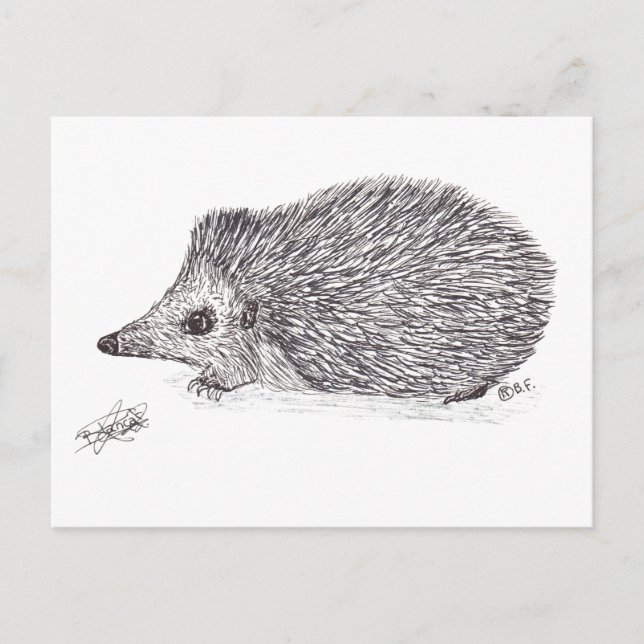 POSTAL FESTIVA HEDGEHOG (Anverso)