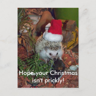 Postal Festiva Hedgie the Hedgehog wishes you a Merry Christmas