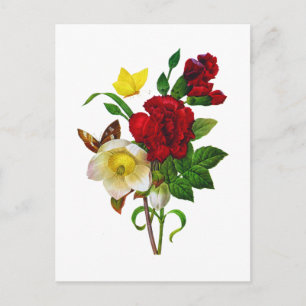 Postal Festiva Helebore, Navidades Rosa por Pierre Joseph Redoute
