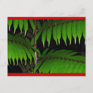Postal Festiva Helechos de la selva tropical