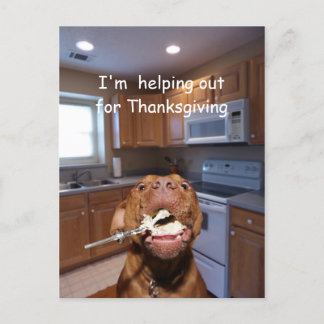 Postal Festiva Helpful Thanksgiving dog
