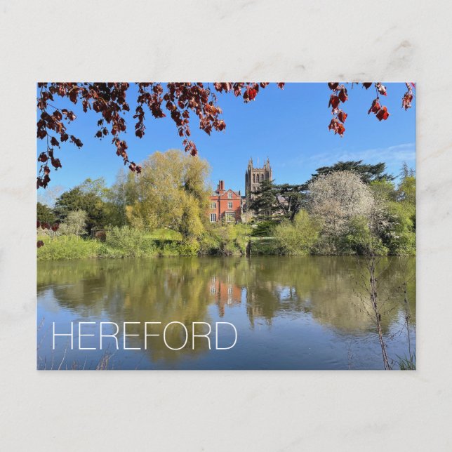 Postal Festiva Hereford (Anverso)