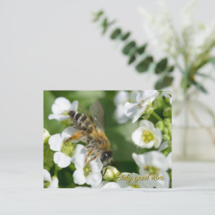 Postal Festiva Hermosa abeja en flores blancas