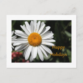 Postal Festiva Hermosa margarita blanca floridas vacaciones felic