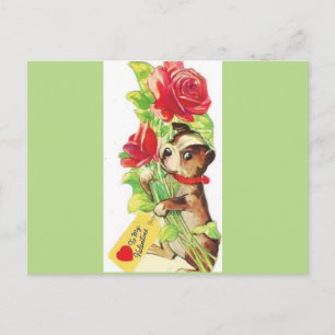 Postal Festiva Hermosa Valentina Vintage Boston Terrier Puppy