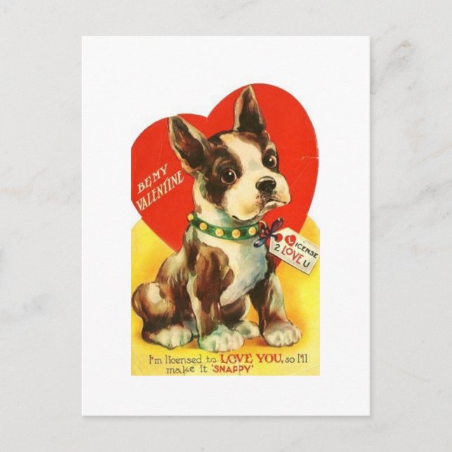Postal Festiva Hermosa Valentina Vintage Boston Terrier Puppy (Anverso)