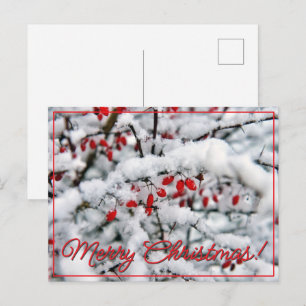 Postal Festiva Hermosas bayas rojas y nieve