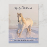 Hermoso caballo blanco en los Navidades de fotos d