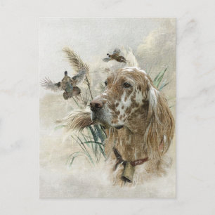 Postal Festiva Hermoso Setter con faisanes, Arte