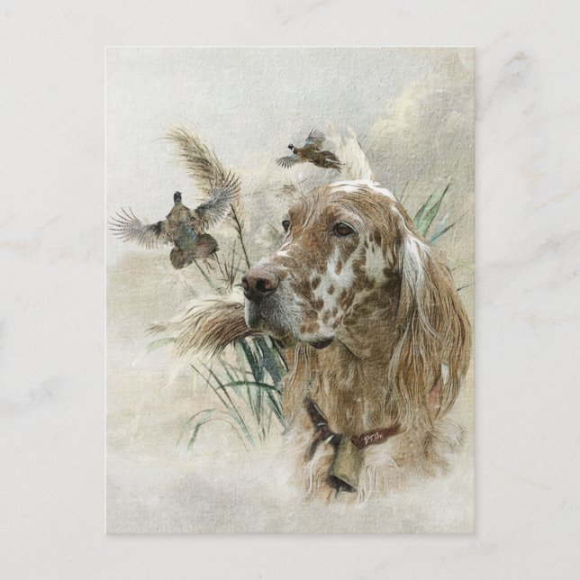 Postal Festiva Hermoso Setter con faisanes, Arte (Anverso)