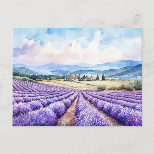 Postal Festiva Hermosos campos de lavanda (Anverso)