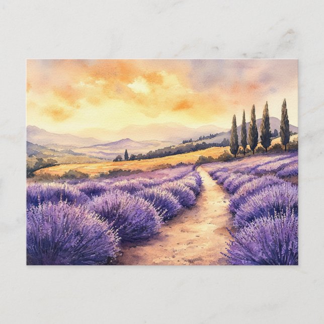 Postal Festiva Hermosos campos de lavanda (Anverso)