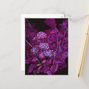 Postal Festiva Hidrangea y Horseradish Floral Art Negro Púrpura