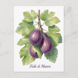 Postal Festiva Higos de Maiori – Higo italiano Jardín Botánico de