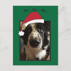 Postal Festiva Ho Ho Ho Ho Doggie