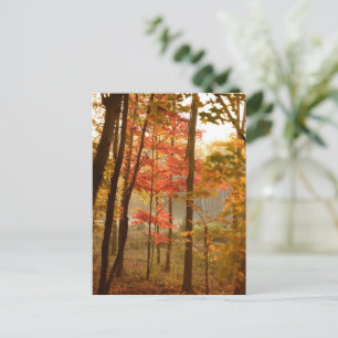 Postal Festiva Hojas de otoño árboles