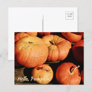 Postal Festiva ¡Hola, Calabaza!