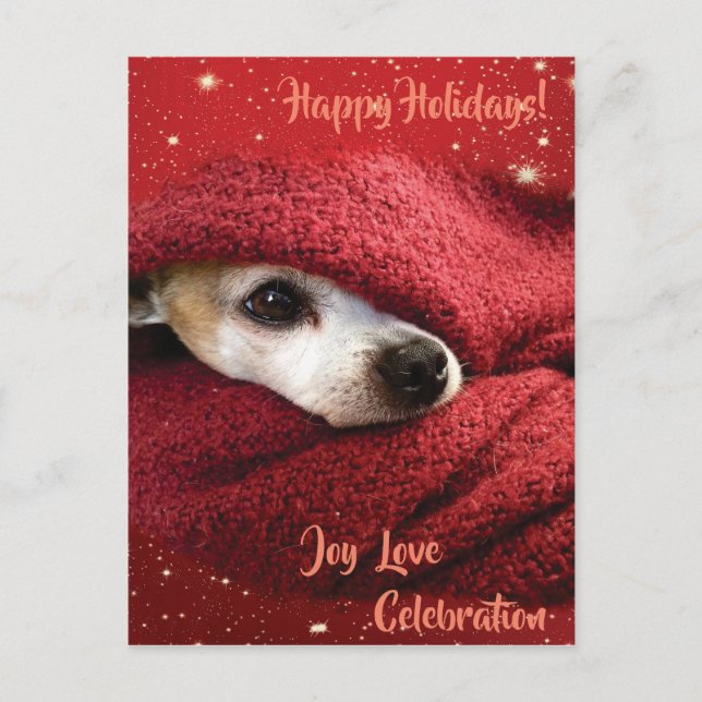 Postal Festiva Holiday Chihuahua (Anverso)