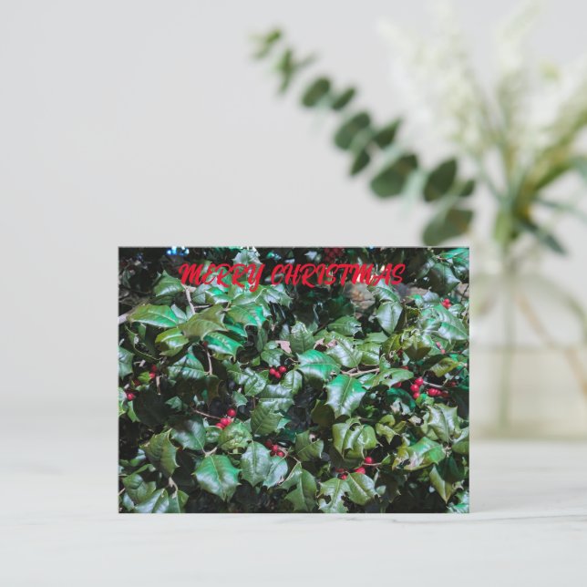 Postal Festiva Holly (Anverso de pie)