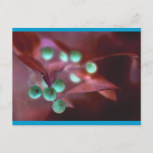 Postal Festiva Holly