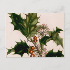 Postal Festiva holly berries, navidades