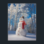 Postal Festiva Hombre de nieve frente a bosque cubierto de nieve<br><div class="desc">Hombre De Nieve Con Sombrero Rojo Y Gorro Negro Parado Frente A La Selva De Aves Cubierta De Nieve,  Invierno,  Río Águila,  Alaska,  Eeuu. | Imágenes de diseño / DanitaDelimont.com | US02 DPI0917</div>
