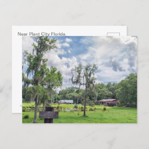Postal Festiva Homestead de Florida Central