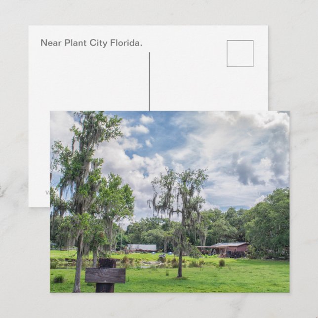 Postal Festiva Homestead de Florida Central (Anverso / Reverso)