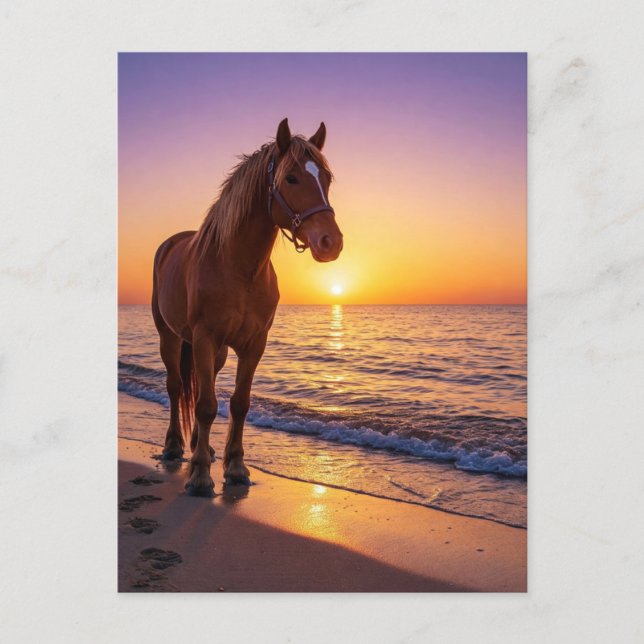 Postal Festiva Horse at Sunset on the Beach Coastal Postcard (Anverso)