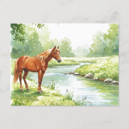 Postal Festiva Horse River Peaceful Watercolor Nature Postcard