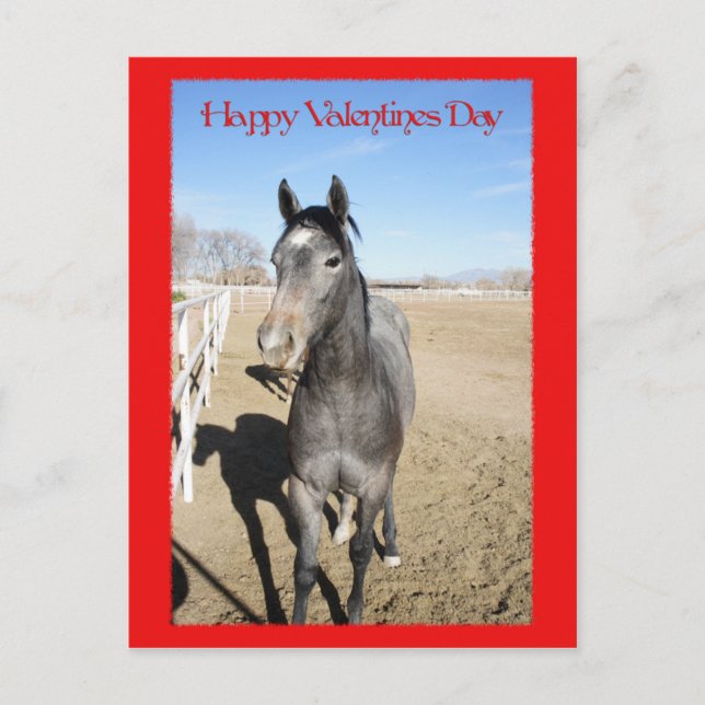 Postal Festiva Horse Valentine (Anverso)