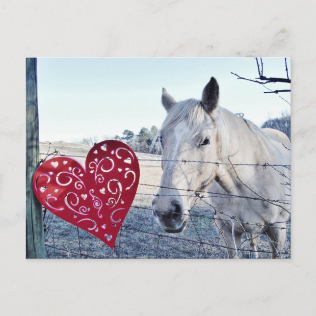Postal Festiva HORSE Valentine (Anverso)