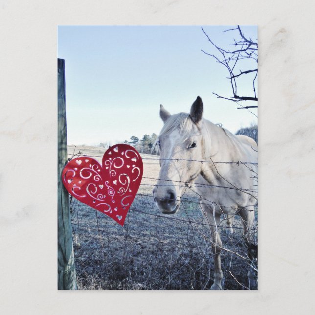 Postal Festiva HORSE Valentine (Anverso)