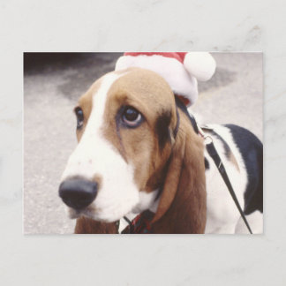 Postal Festiva Hound Basset en Santa Hat