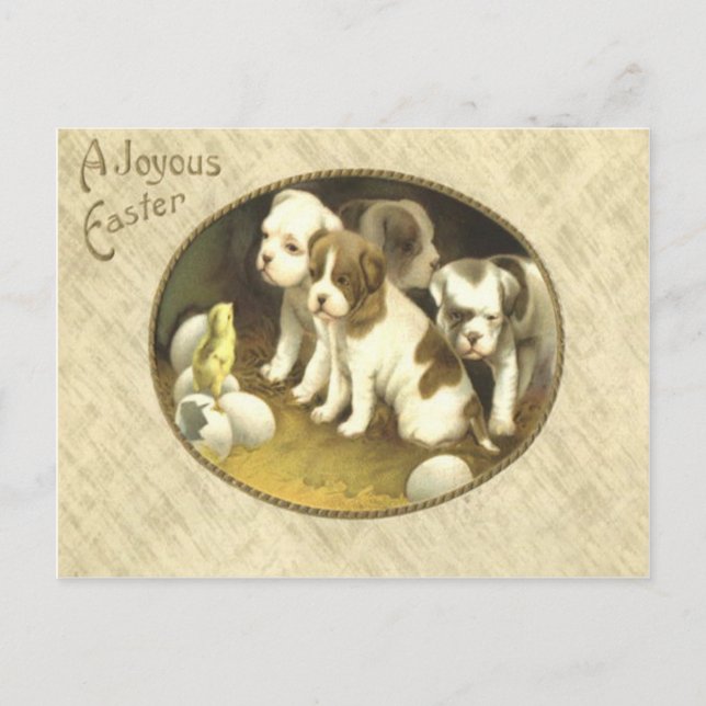 Postal Festiva Huevo del polluelo de Pascua del perrito del perro (Anverso)