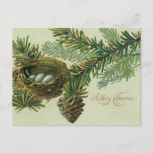 Postal Festiva Huevos de pájaro navideño