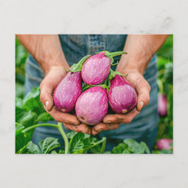 Postal Festiva Huevos morados en Jardín Orgánico