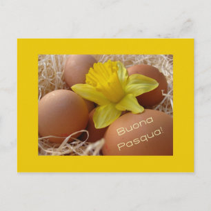 Postal Festiva Huevos y saludos daffodil de Pascua - italiano