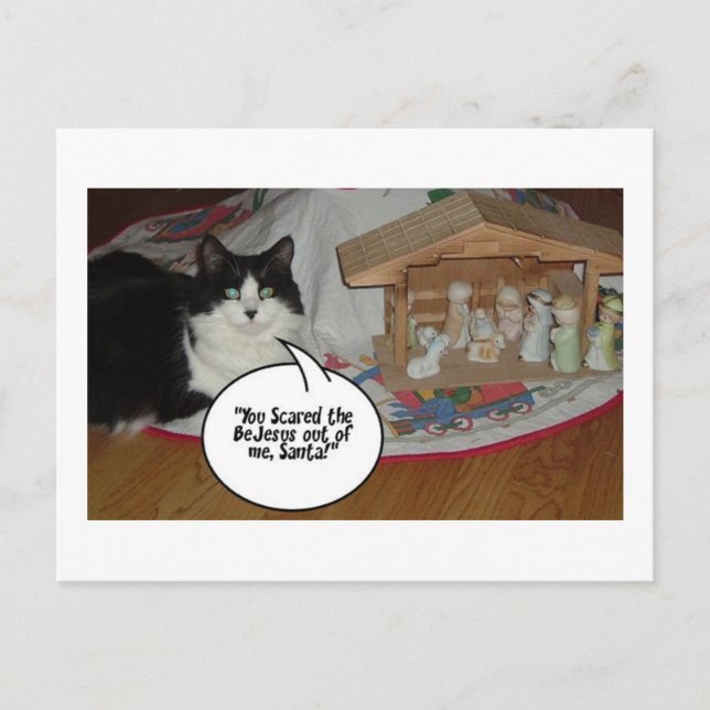 Postal Festiva Humor de gato negro y blanco para navidades (Anverso)