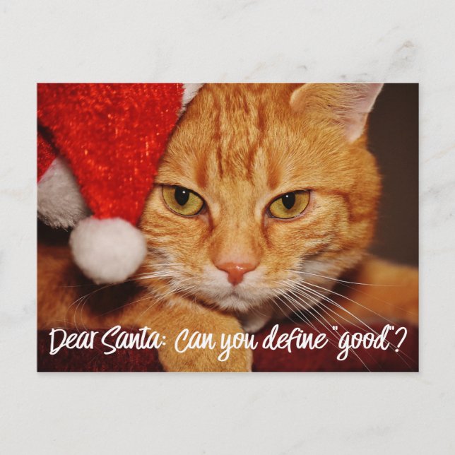 Postal Festiva Humor de gato: Querido Santa Define el bien | Pet  (Anverso)