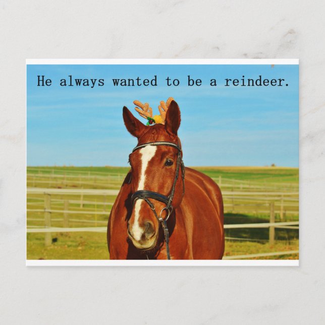 Postal Festiva Humor divertido Navidades de renos de caballos Nav (Anverso)